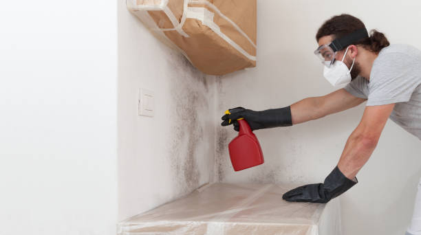 Professional Mold Remediation technician working in Mitchells, VA