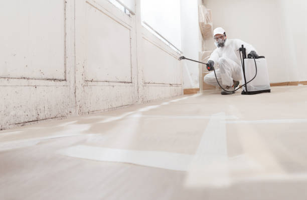 24/7 Emergency Mold Remediation experts in Mitchells, VA